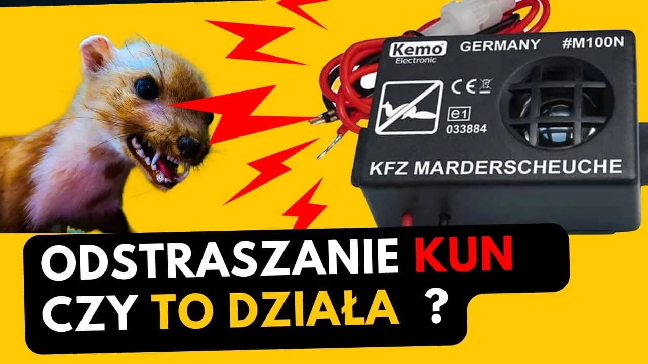Skuteczne odstraszacze na kuny do samochodu, które uratują Twój pojazd
